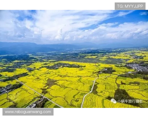 金沙体育注册流程与账号安全设置详细教程新手玩家必看